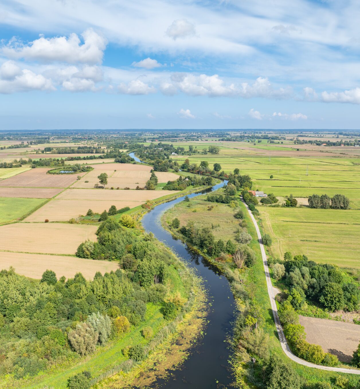 Zdjęcie przedstawia panoramę Żułąw