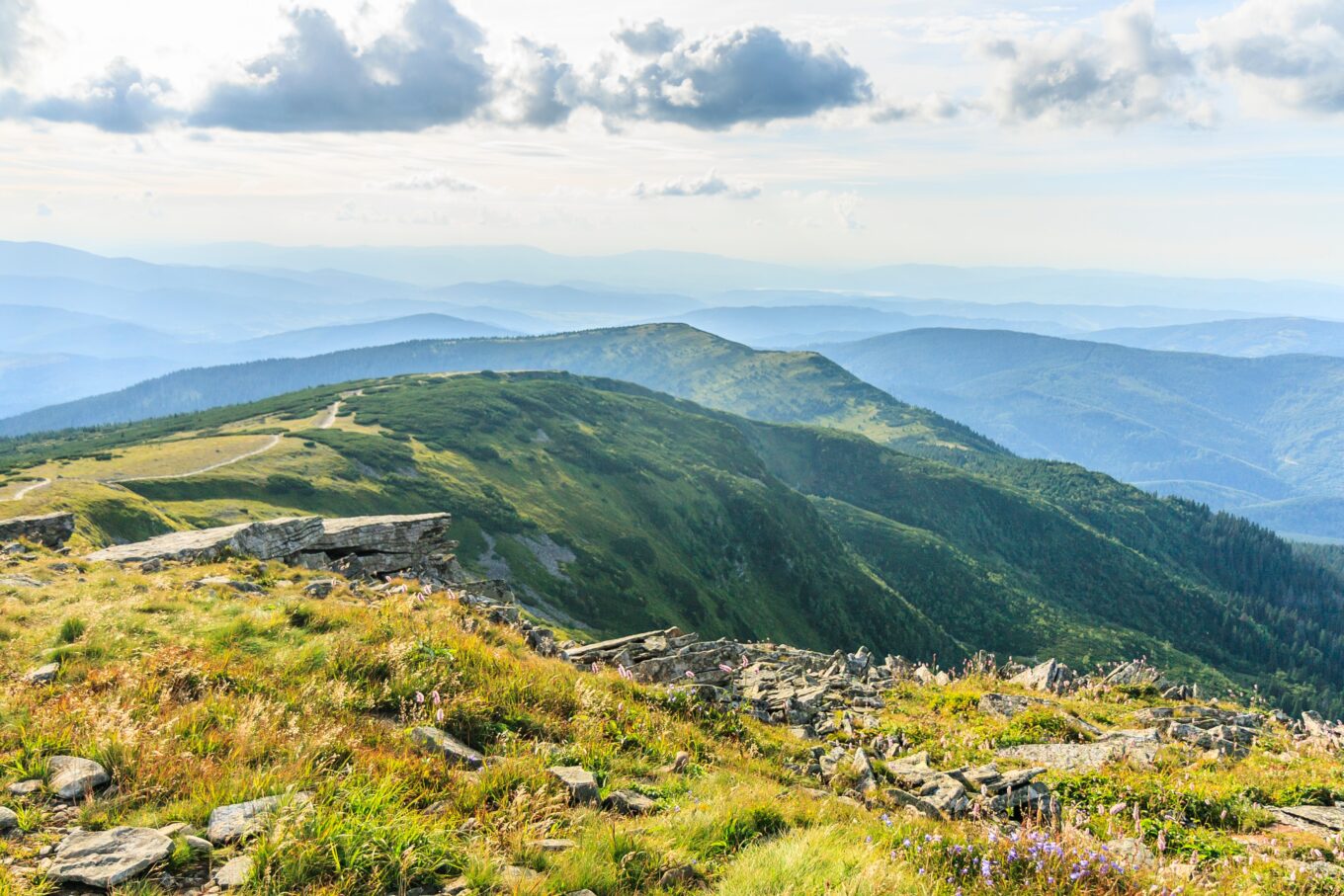 Zdjęcie przedstawia panoramę Beskidu Żywieckiego