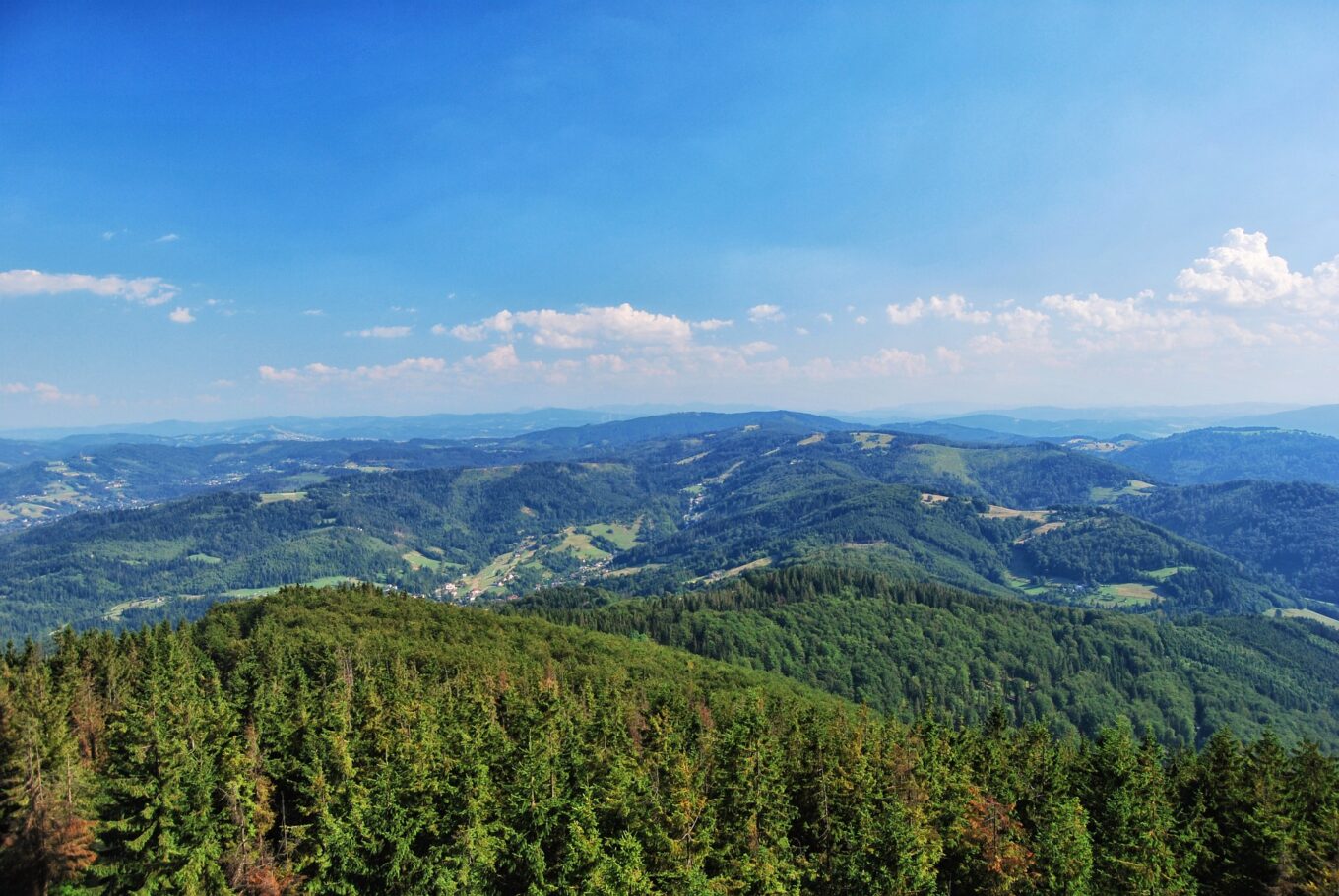 Zdjęcie przedstawia panoramę Beskidu Żywieckiego