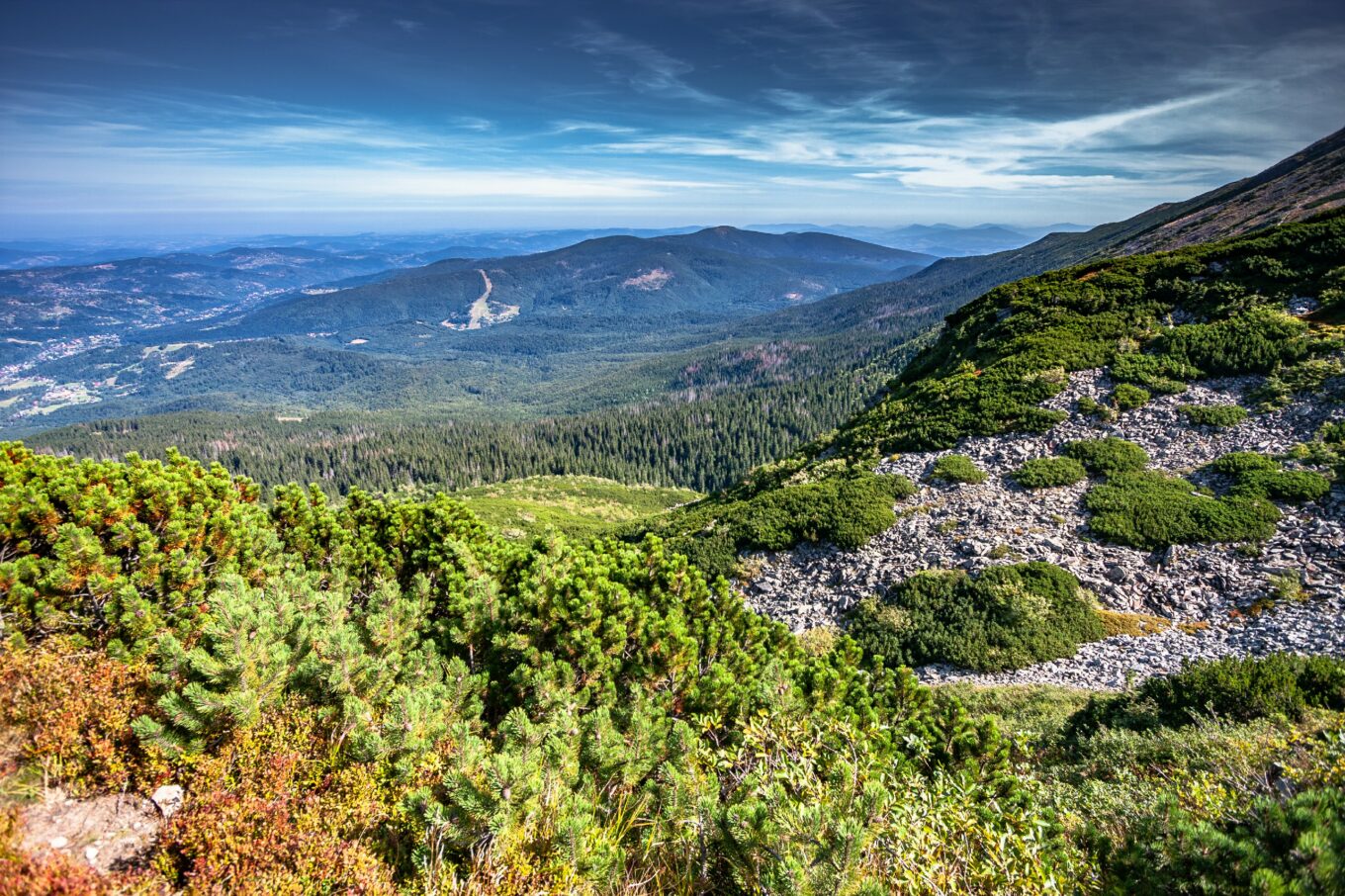 Panorama górska