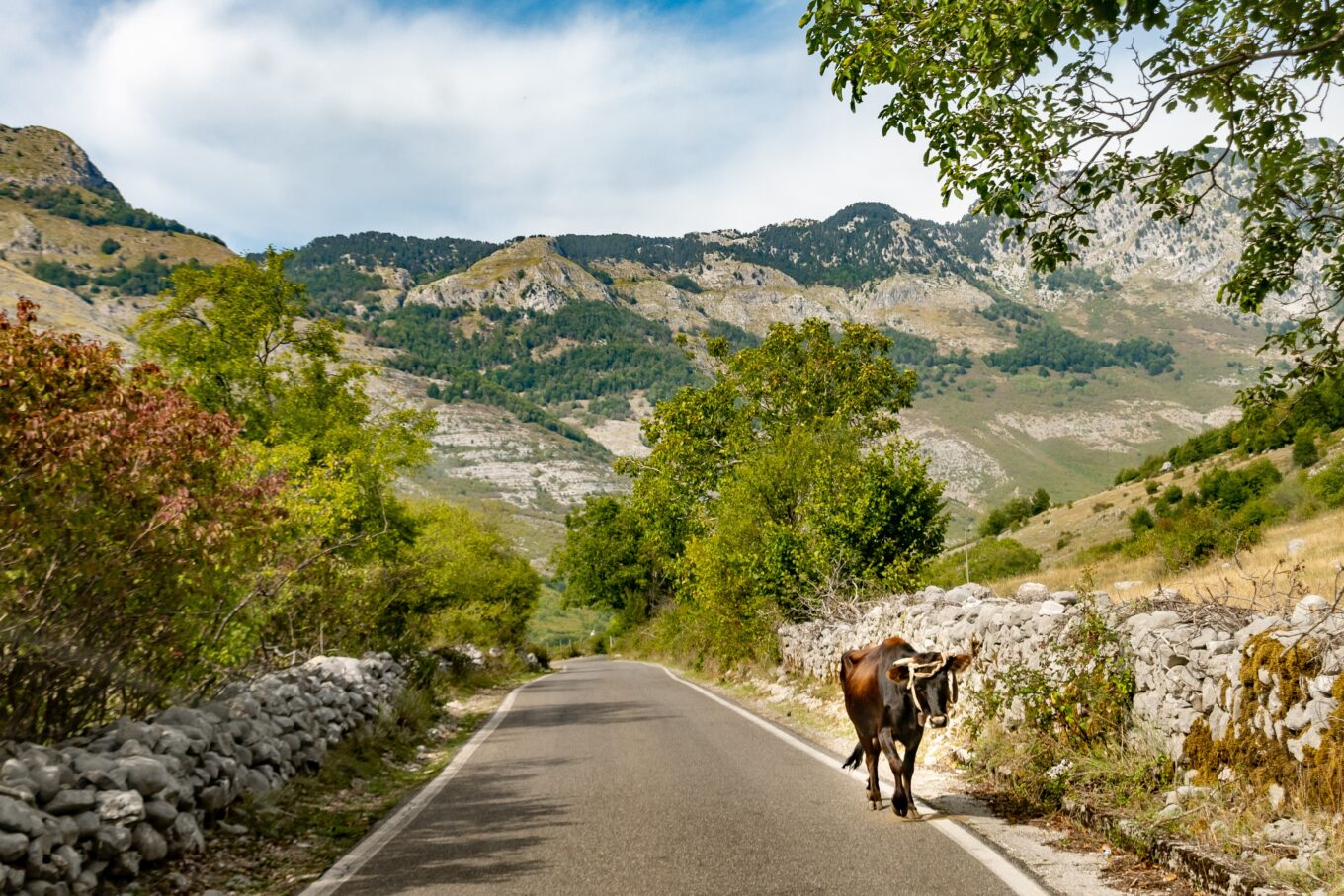 Zdjęcie przedstawia panoramę Alp Albańskich