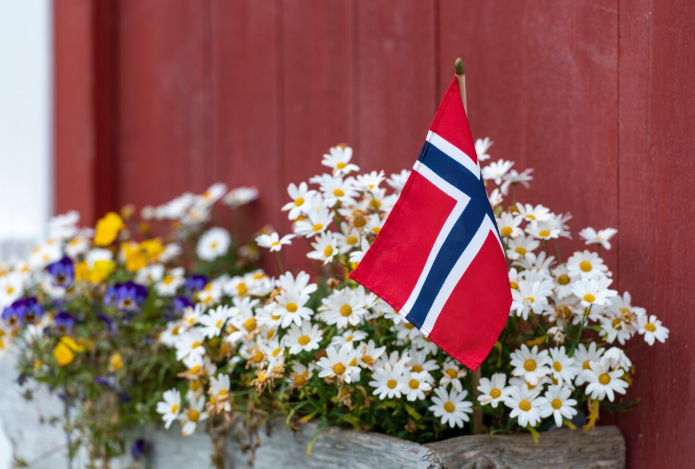 Zdjęcie przedstawia flagę Norwegii