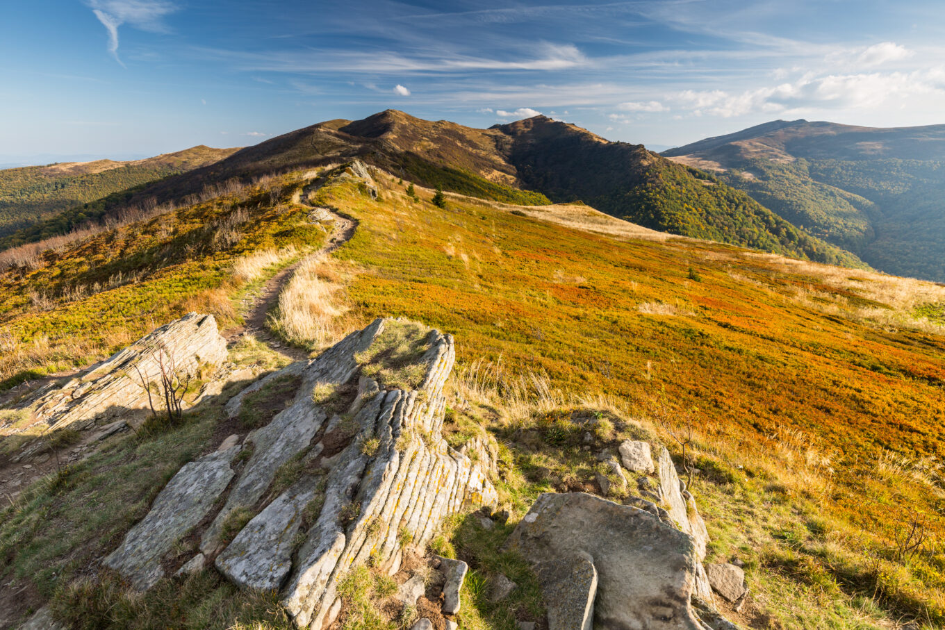 zdjęcie przedstawia panoramę Bieszczad