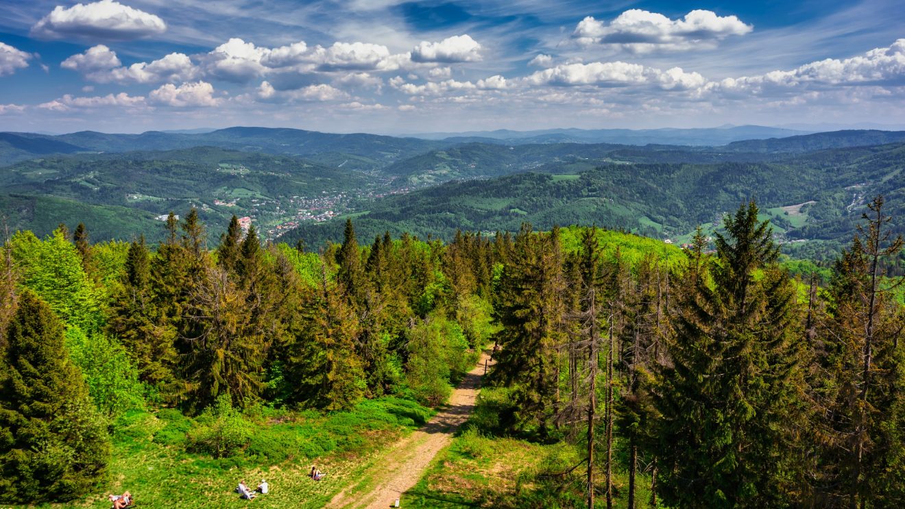 Panorama Beskidów z wzgórzami porośniętymi lasem