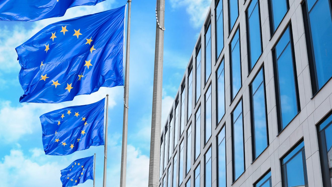 Flags,Of,European,Union,Near,Building,Outdoors