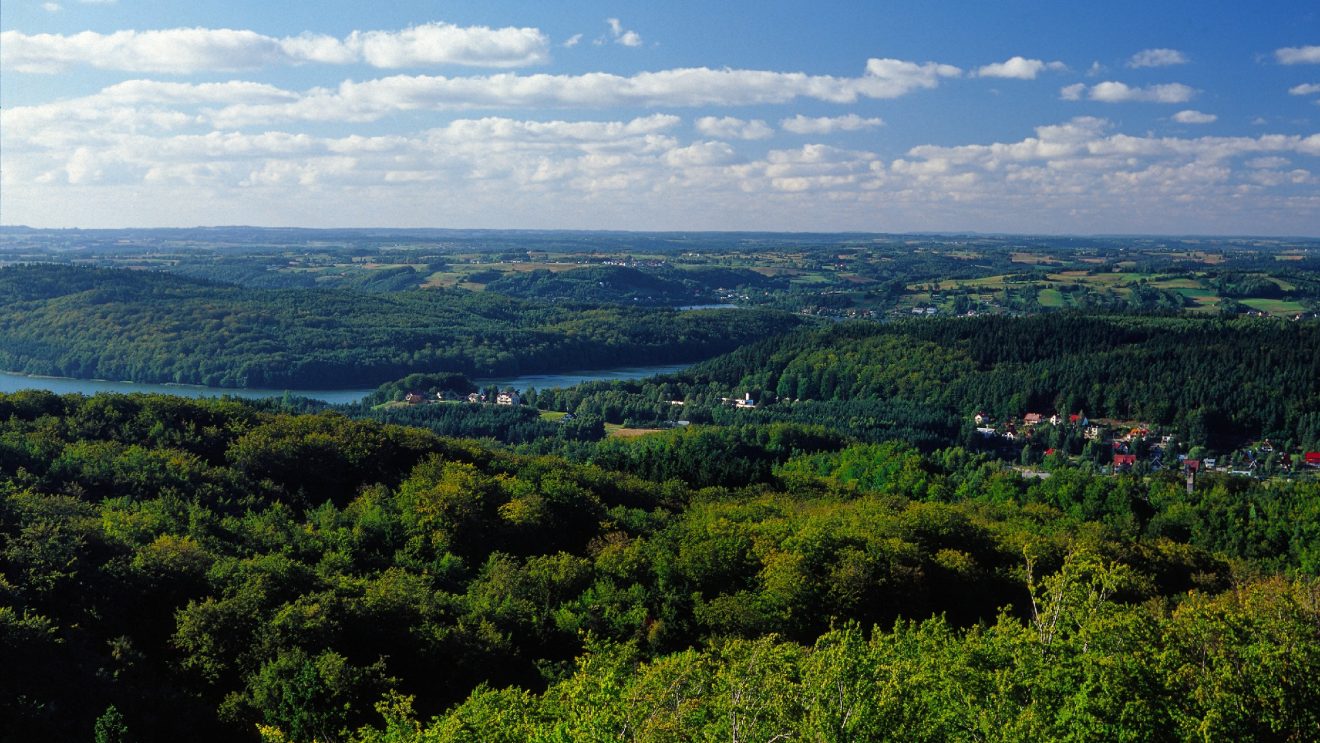 Panorama kaszub z lotu ptaka z lasami