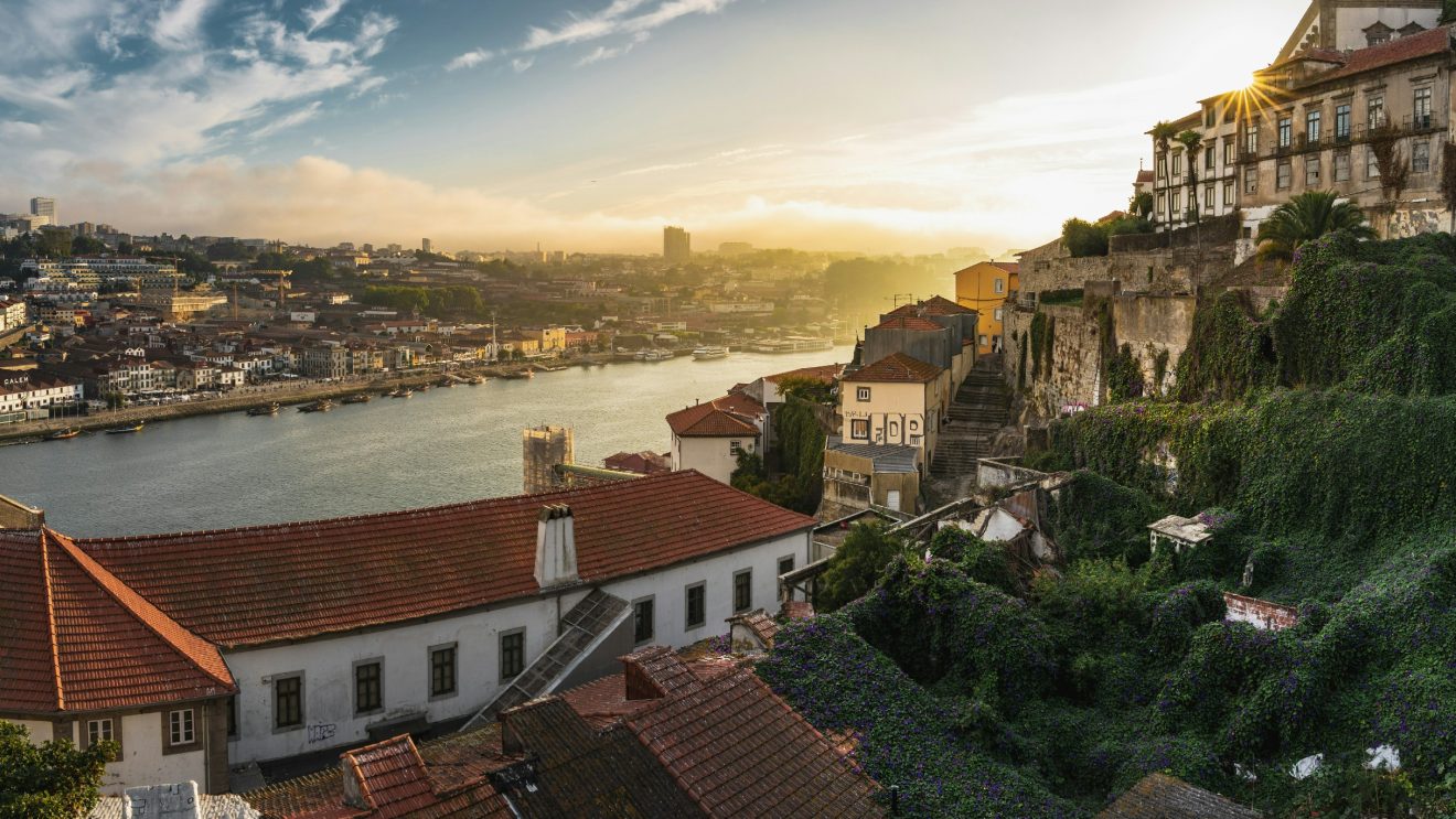 Panorama miasta i rzeki, na pierwszym planie zabytkowe domy
