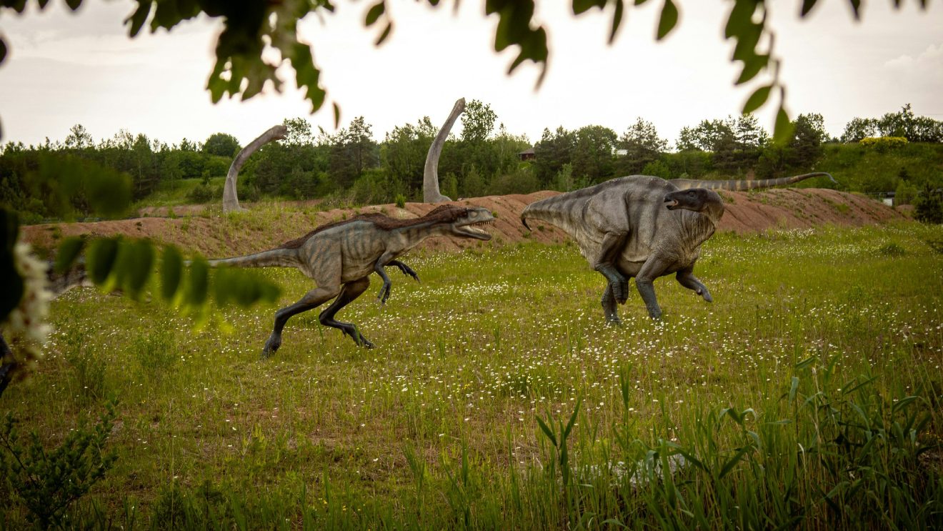 Dwa posągi dinozaurów na trawie