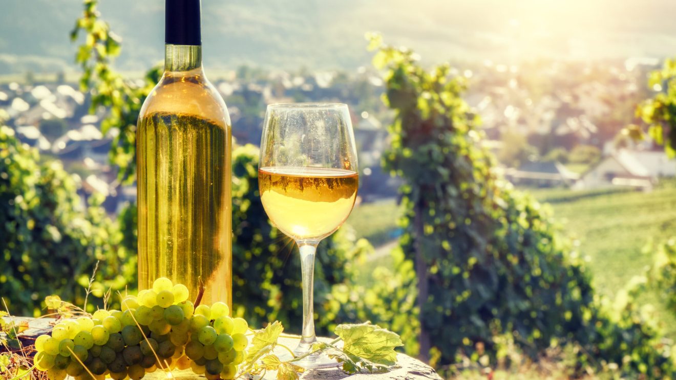 Bottle,And,Full,Glass,Of,White,Wine,Over,Vineyard,Background.