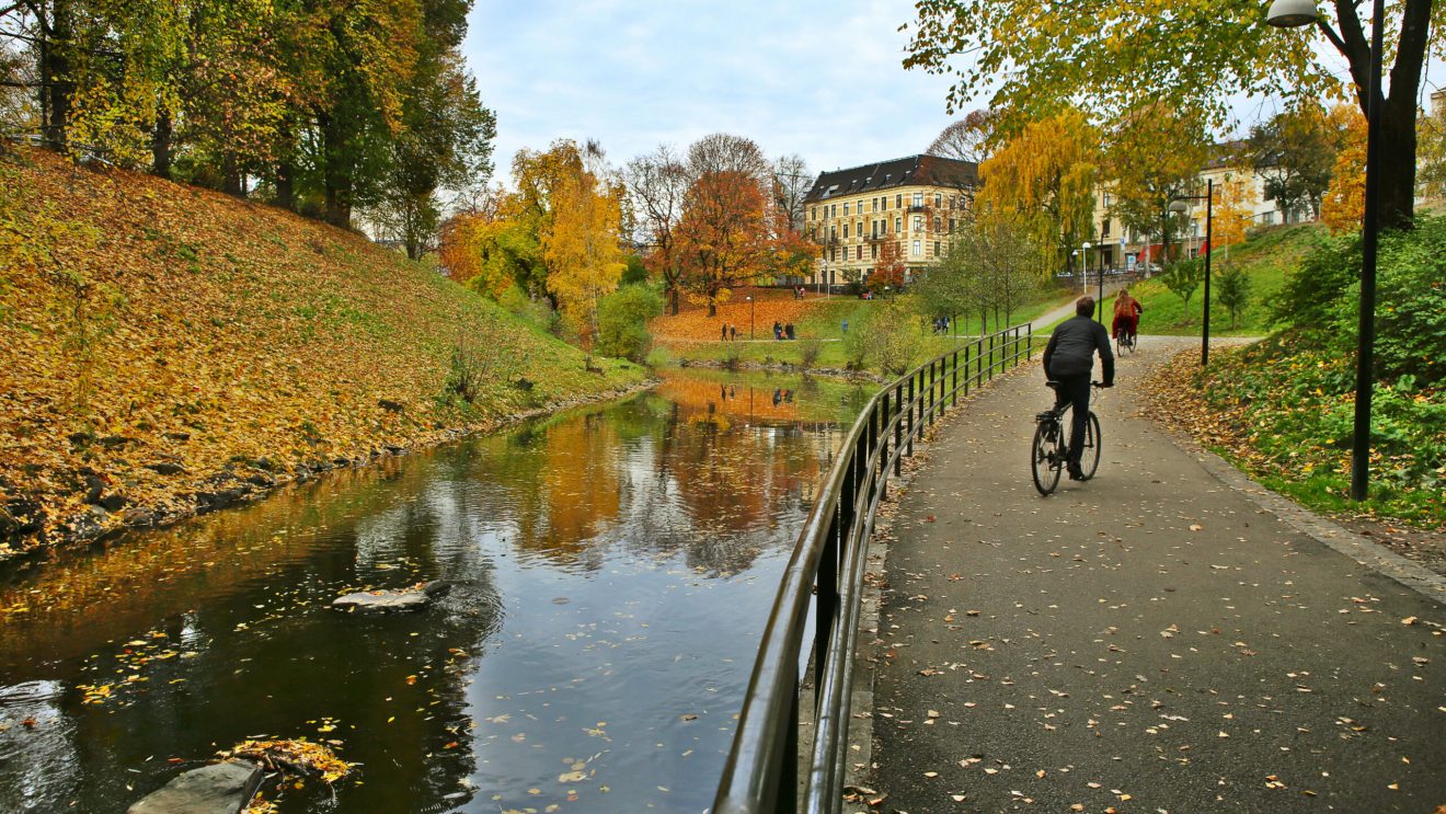 Zdjęcie przedstawia drogę rowerową w Oslo