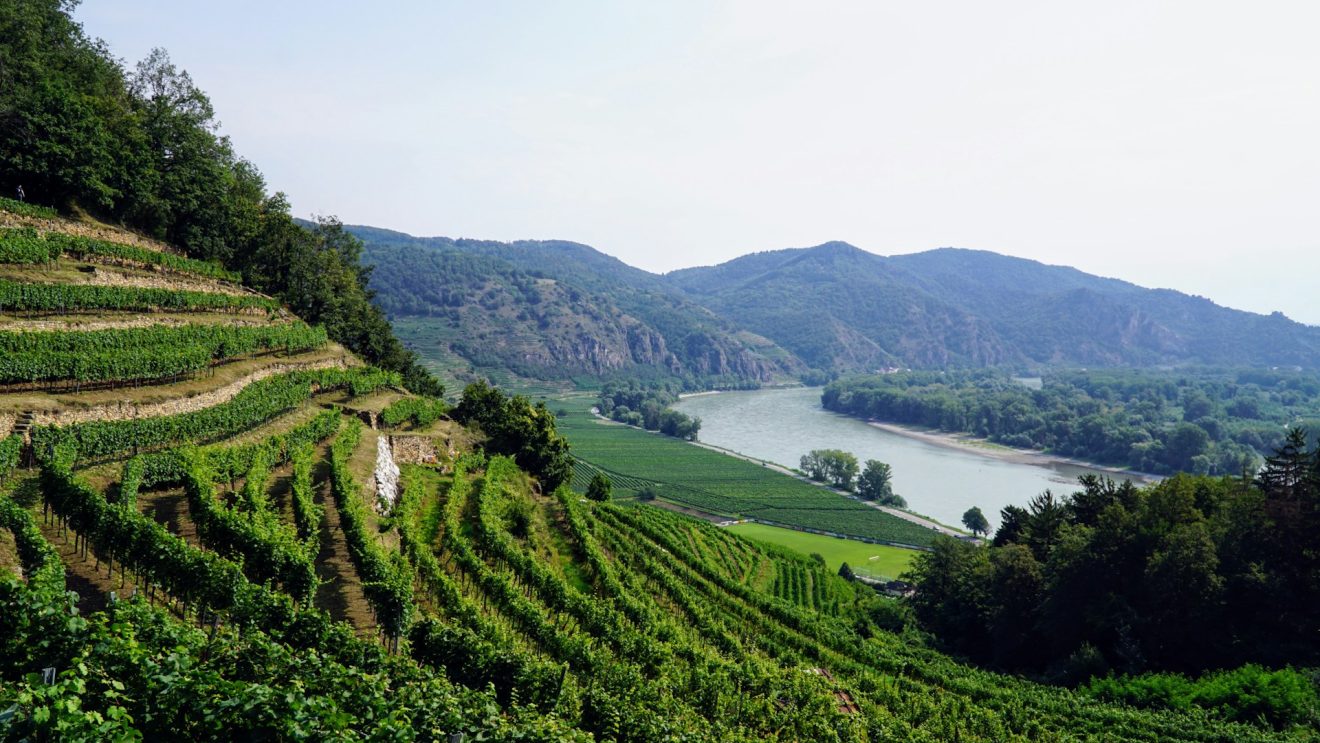 Zdjęcie przedstawia panoramę Doliny Wachau