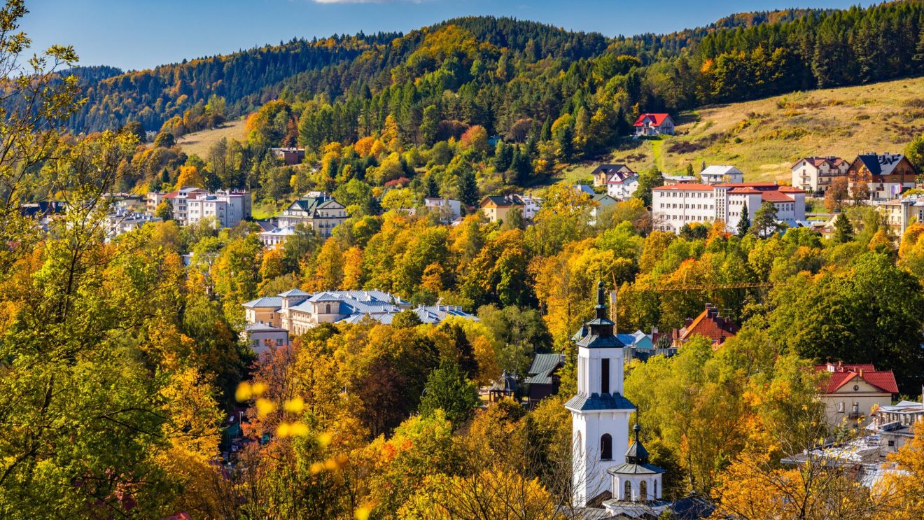 Zdjęcie przedstawia panoramę Krynicy Zdrój
