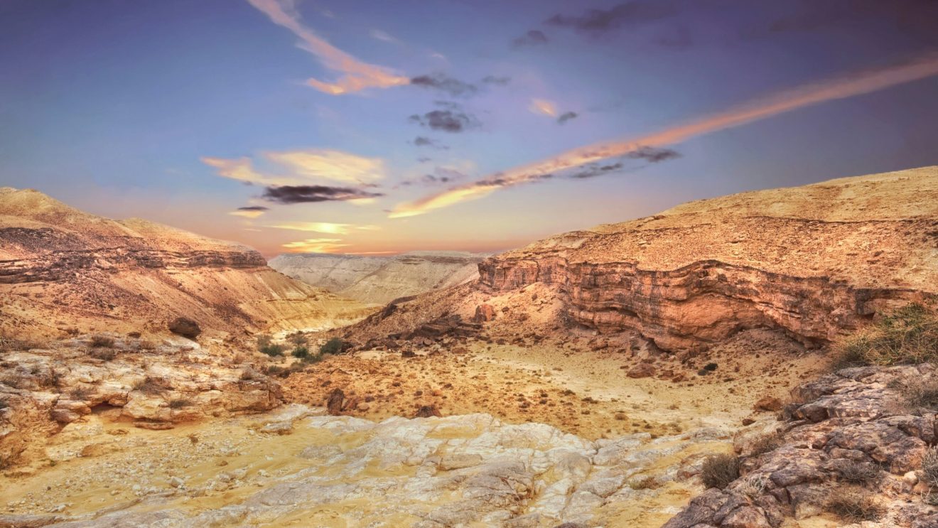 zdjęcie przedstawia pustynię Negev