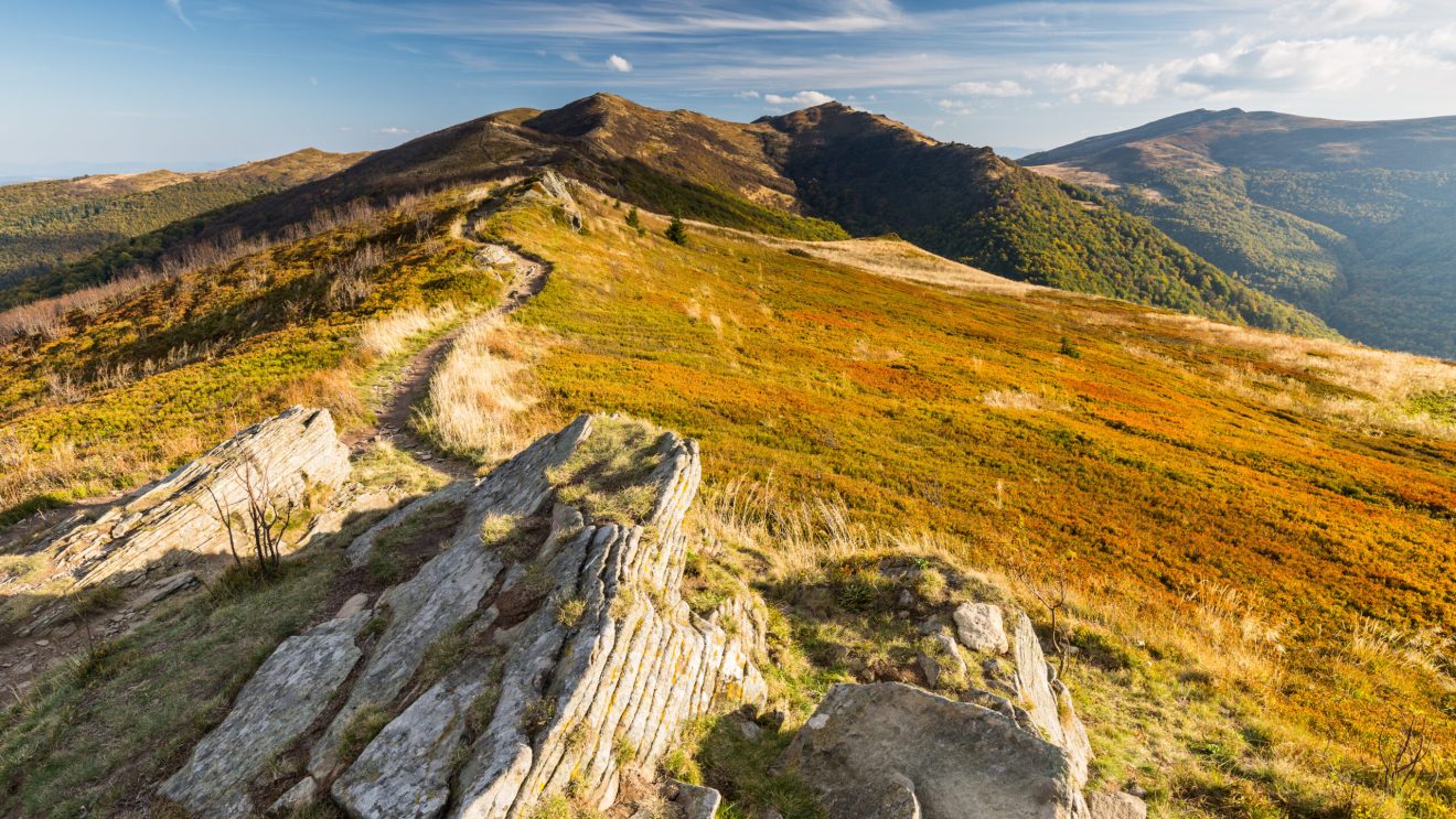 zdjęcie przedstawia panoramę Bieszczad