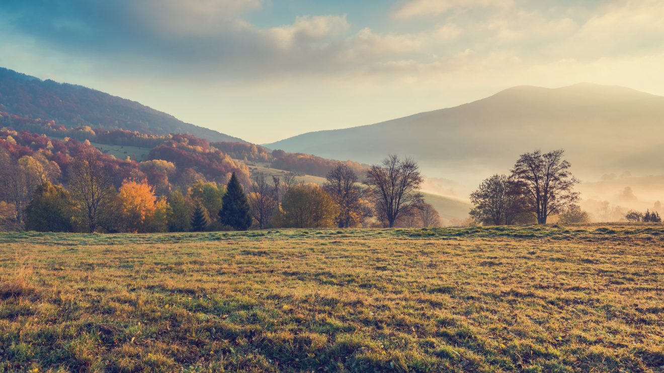zdjęcie przedstawia panoramę Bieszczad