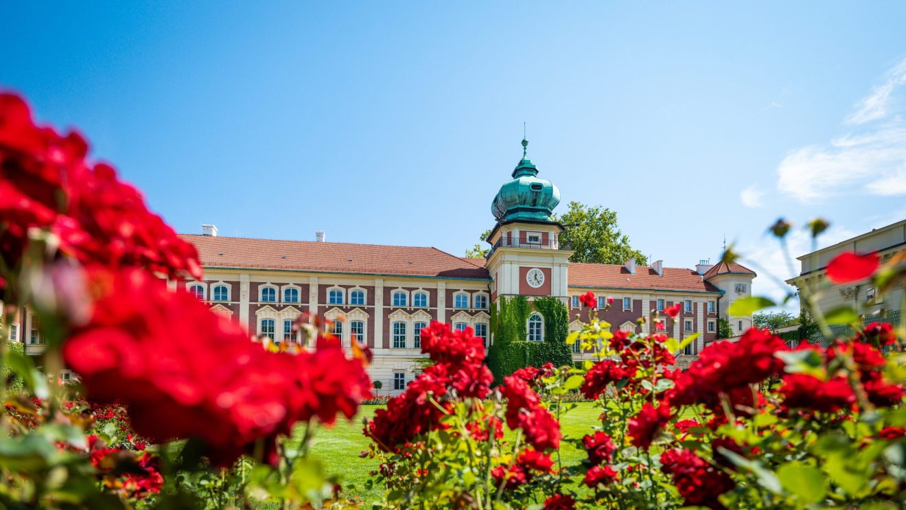 zdjęcie przedstawia zamek w Łańcucie